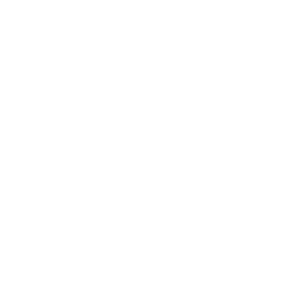 電子影像系統(tǒng)